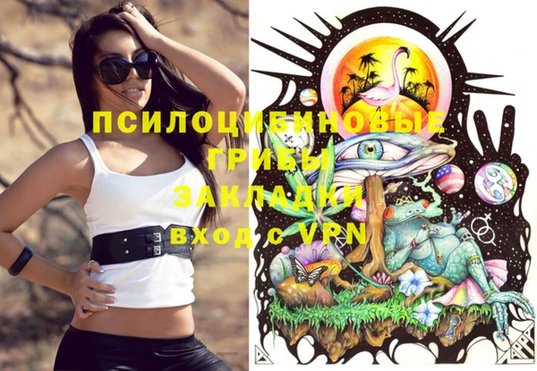 ALPHA-PVP Алексеевка